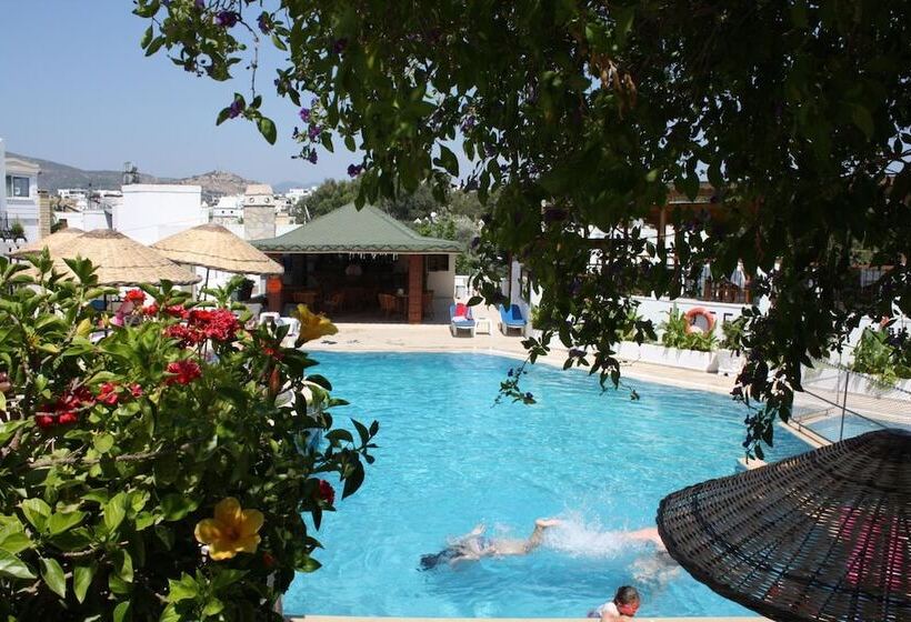 בית מלון כפרי Bronze