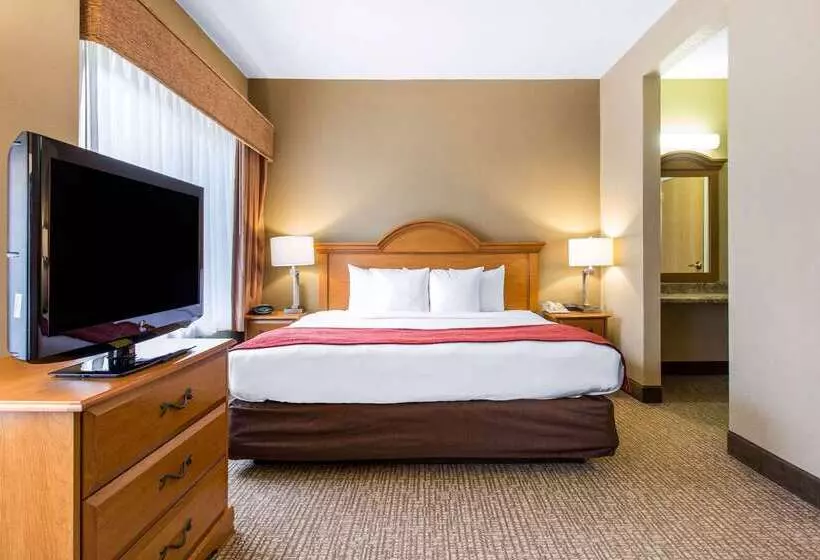 Hotel Comfort Suites Wilmington Near Downtown