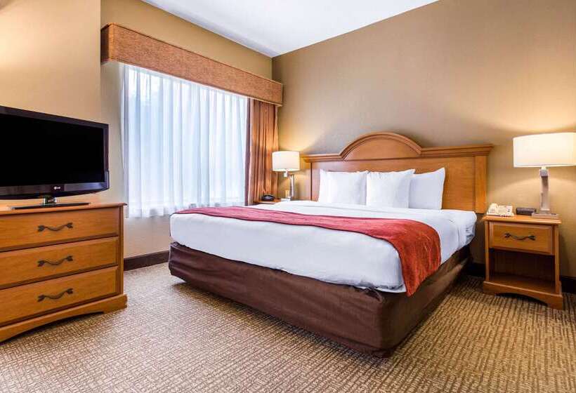 هتل Comfort Suites Wilmington Near Downtown