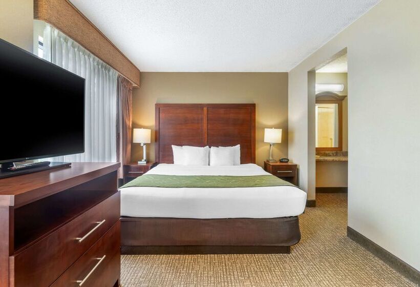 هتل Comfort Suites Wilmington Near Downtown