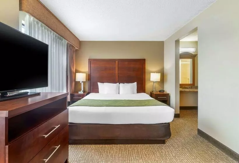 Hotel Comfort Suites Wilmington Near Downtown