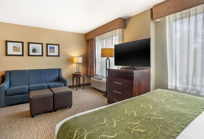 هتل Comfort Suites Wilmington Near Downtown