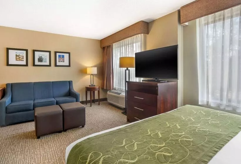 Hotel Comfort Suites Wilmington Near Downtown