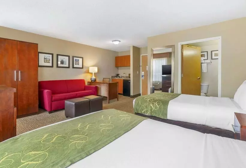 Hotel Comfort Suites Wilmington Near Downtown