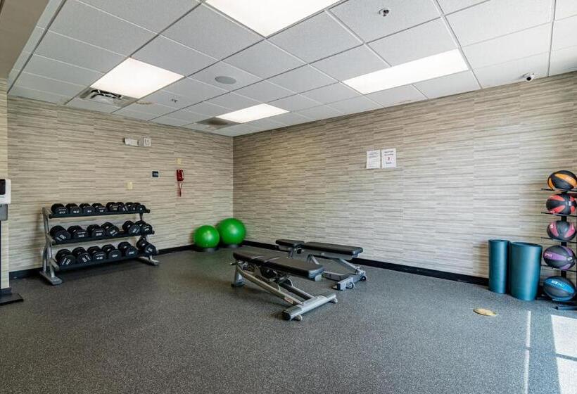 فندق Courtyard Brunswick