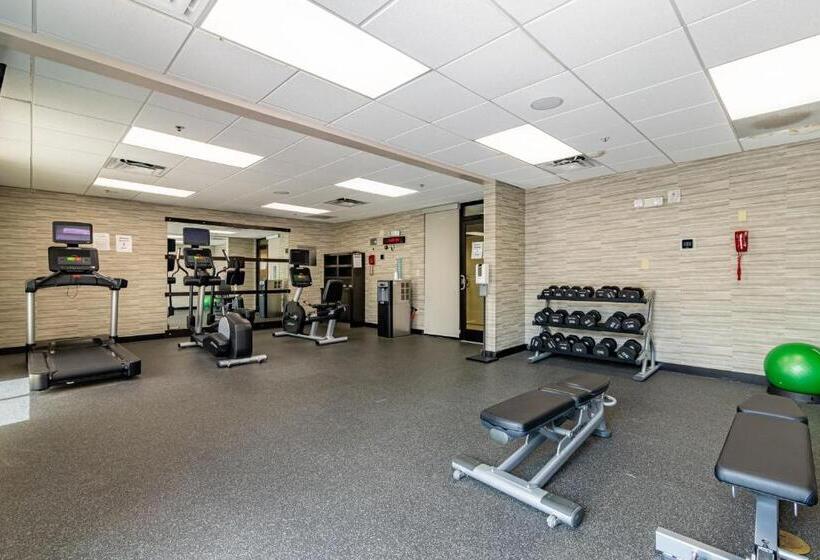 فندق Courtyard Brunswick