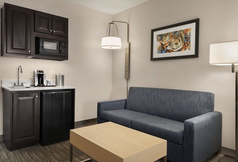 Holiday Inn Express Hotel & Suites Mount Pleasant   Charleston, An Ihg