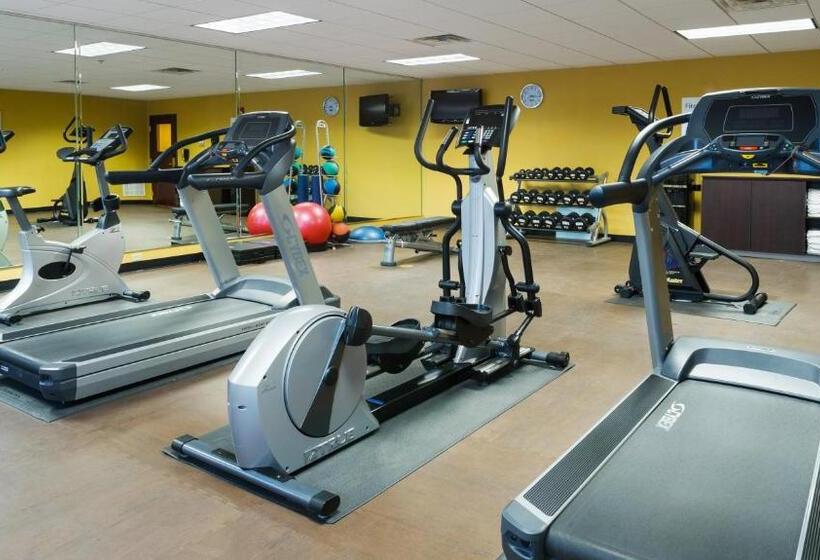 Hotel Holiday Inn Express & Suites Midland Loop 250, An Ihg