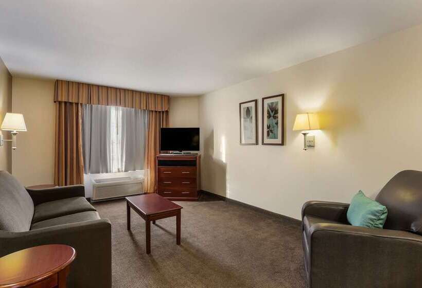 ホテル Mainstay Suites Fitchburg  Madison