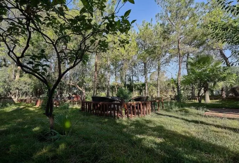 فندق Maya Golf Side All Inclusive