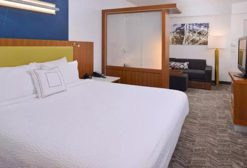 Hotel Springhill Suites Durham Chapel Hill