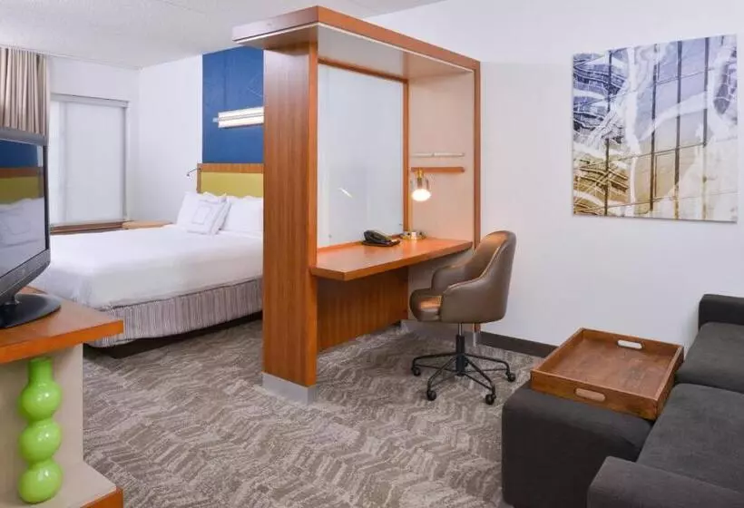 Hotel Springhill Suites Durham Chapel Hill