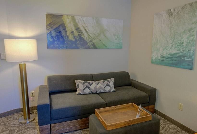 فندق Springhill Suites By Marriott Macon