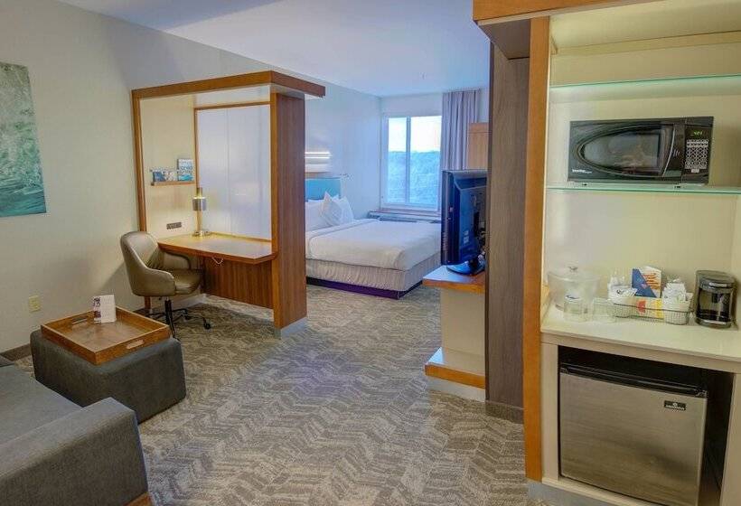 فندق Springhill Suites By Marriott Macon