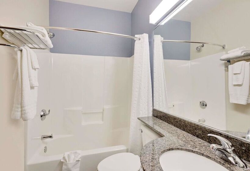 Microtel Inn And Suites By Wyndham Geneva