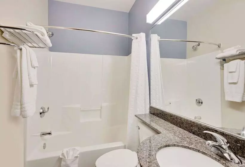 Microtel Inn And Suites By Wyndham   Geneva