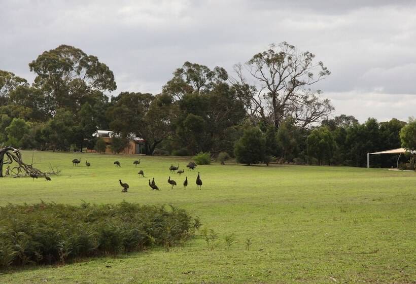 Отель Boroka Downs