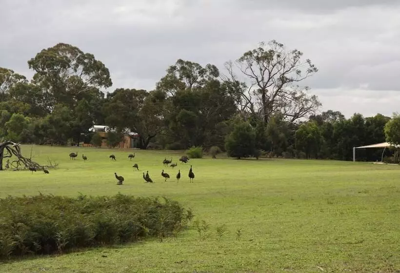 Отель Boroka Downs