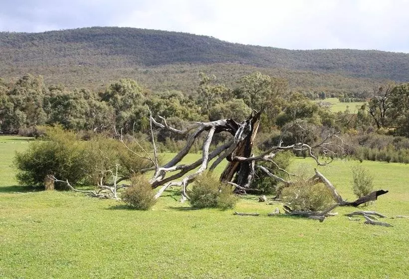 Отель Boroka Downs