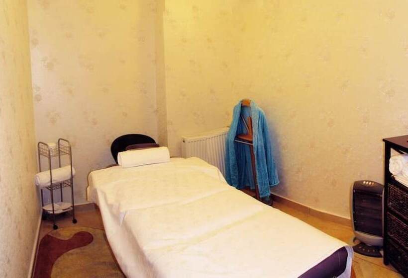 בית מלון כפרי Carol