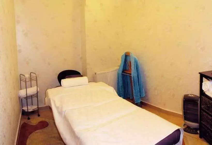 בית מלון כפרי Carol