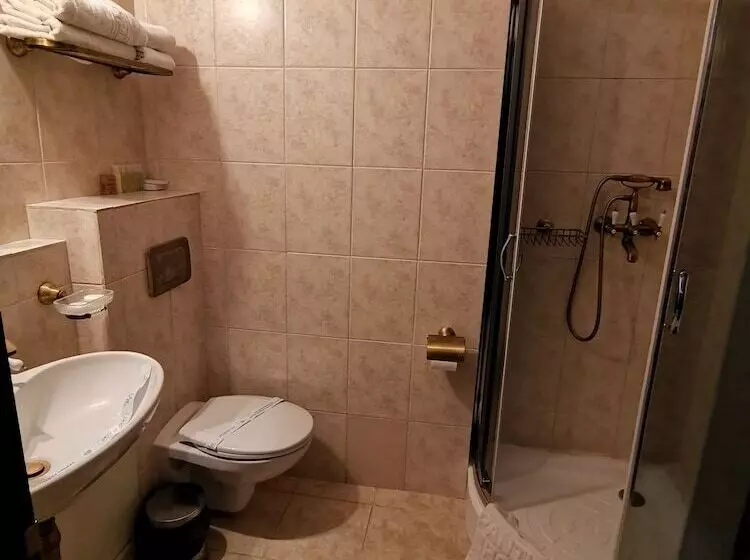 בית מלון כפרי Carol