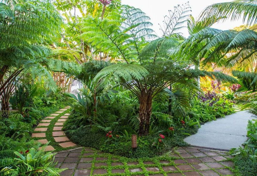 ホテル Hacienda de Abajo - Adults Only