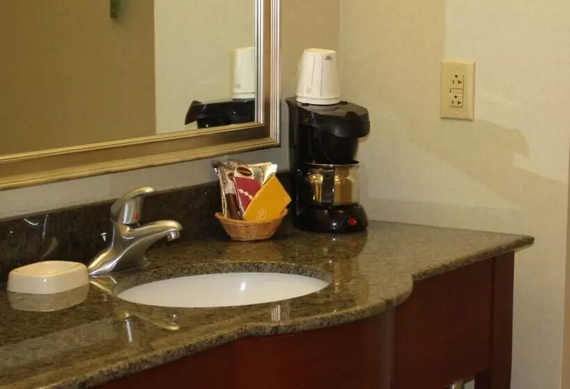 בית מלון כפרי Hampton Inn Clinton