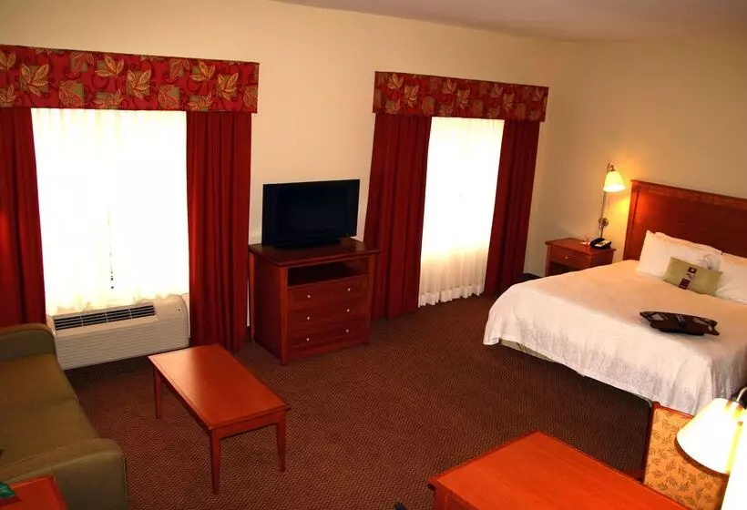 בית מלון כפרי Hampton Inn Clinton