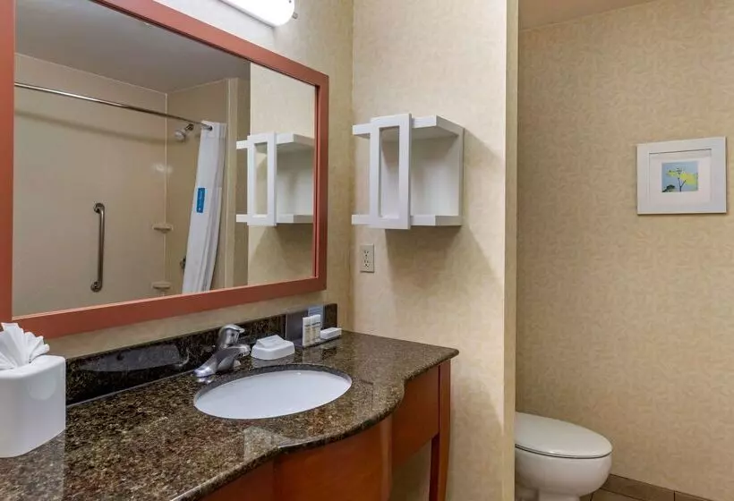 酒店 Hampton Inn Norcocoronaeastvale