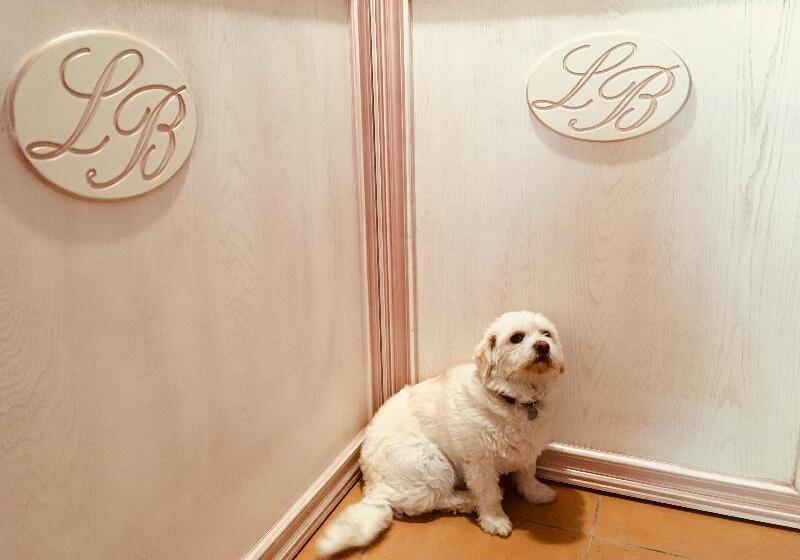 هتل Leaganul Bucovinei Guest House