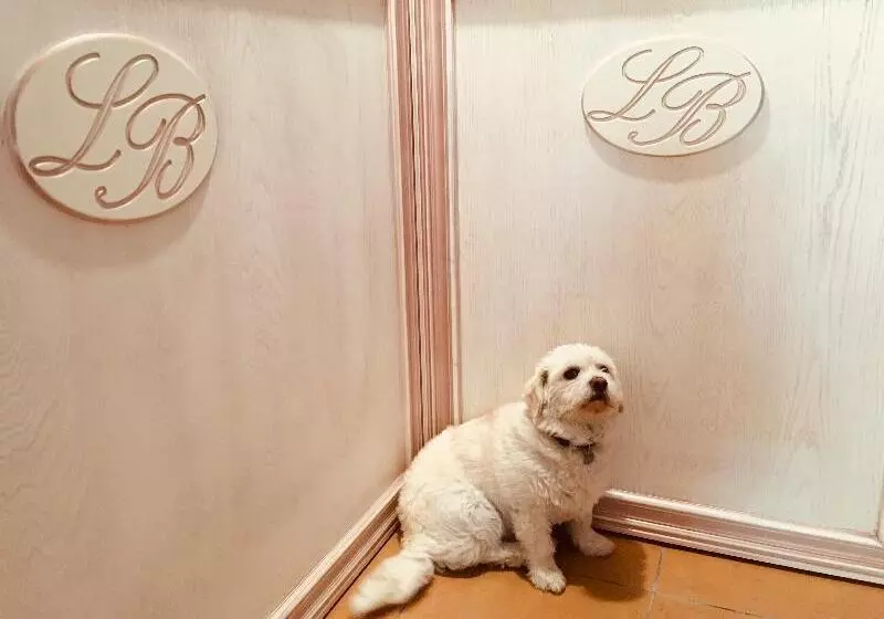 فندق Leaganul Bucovinei Guest House