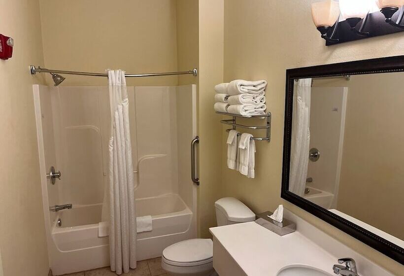 Отель Wyndham Garden Otsegominneapolis