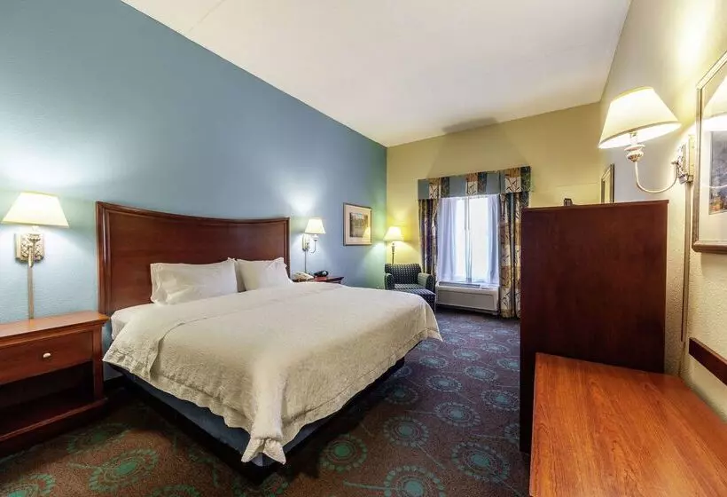 ホテル Hampton Inn Martinsburg Southinwood