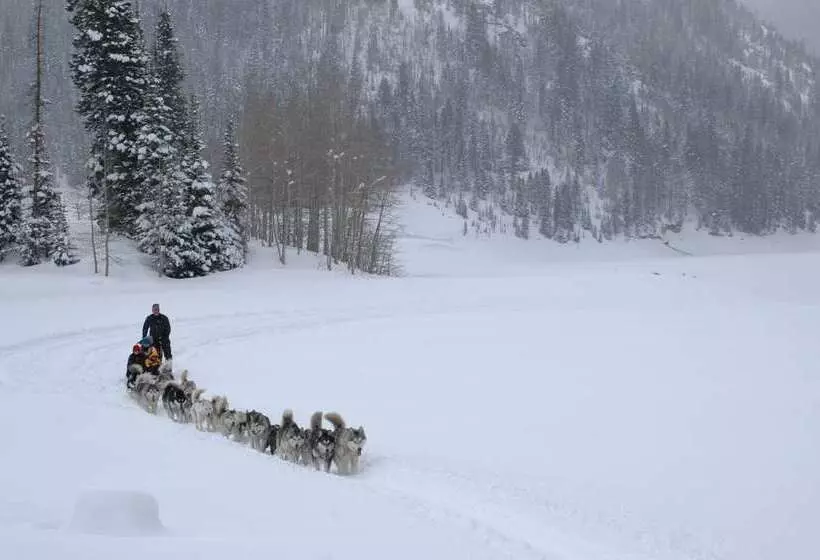 בית מלון כפרי Hyatt Centric Park City