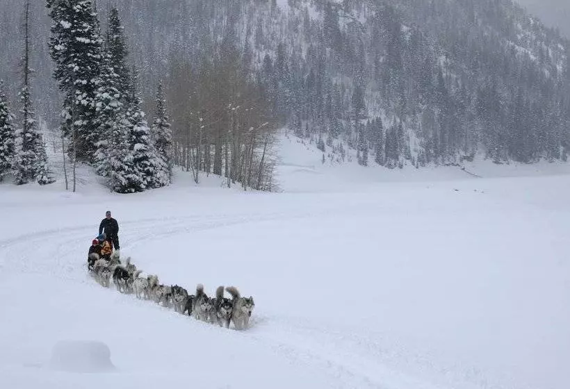 בית מלון כפרי Hyatt Centric Park City