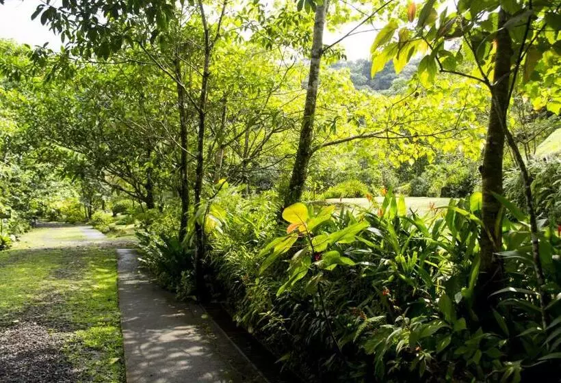 Lands In Love Hotel And Resort