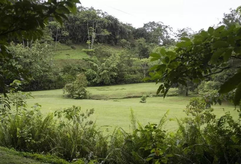 Lands In Love Hotel And Resort