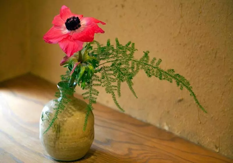 هتل Chikuba Shinyotei