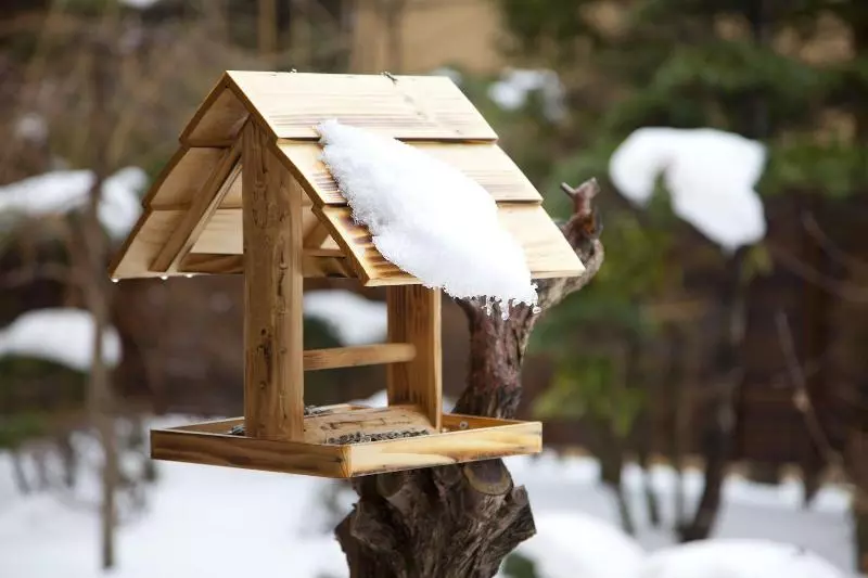 هتل Chikuba Shinyotei