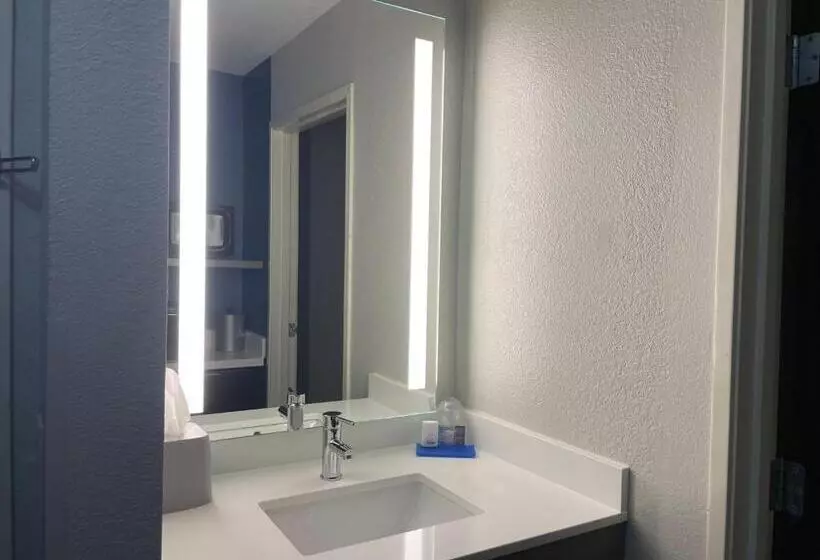 호텔 Holiday Inn Express Lapeer, An Ihg