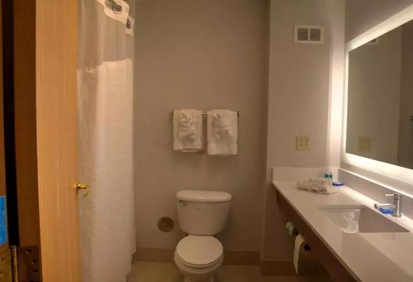 ホテル Holiday Inn Express Rochelle, An Ihg