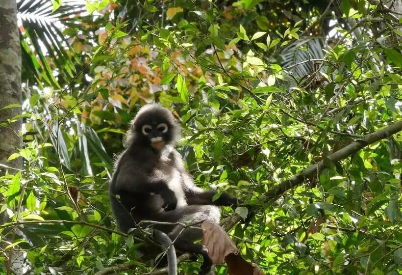 호텔 Khao Sok Riverside Cottages