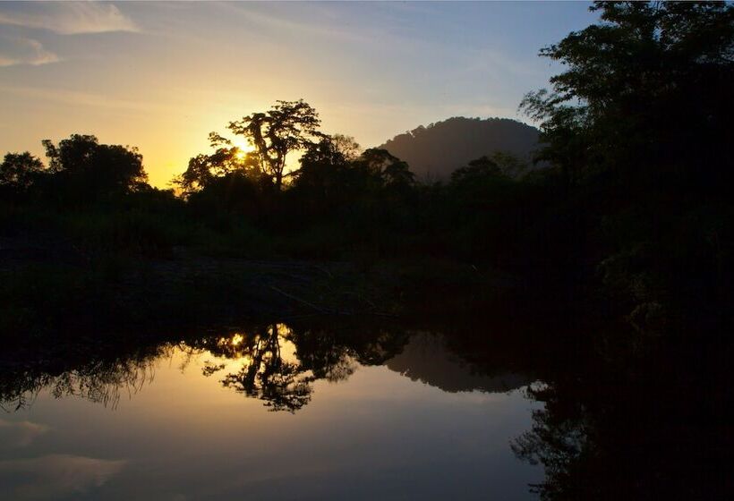 Отель Khao Sok Riverside Cottages