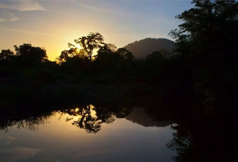 호텔 Khao Sok Riverside Cottages