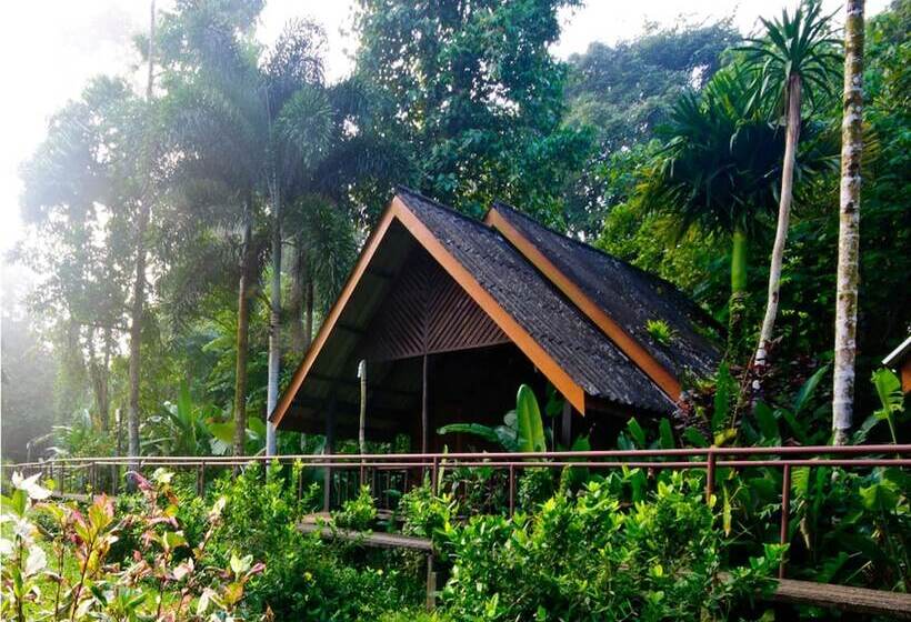 Отель Khao Sok Riverside Cottages