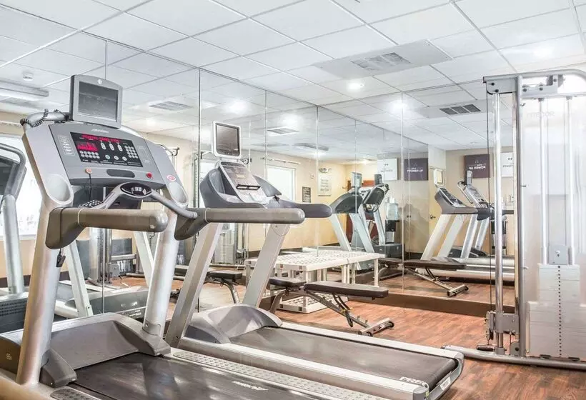 בית מלון כפרי Comfort Suites Rock Hill Manchester Meadows Area