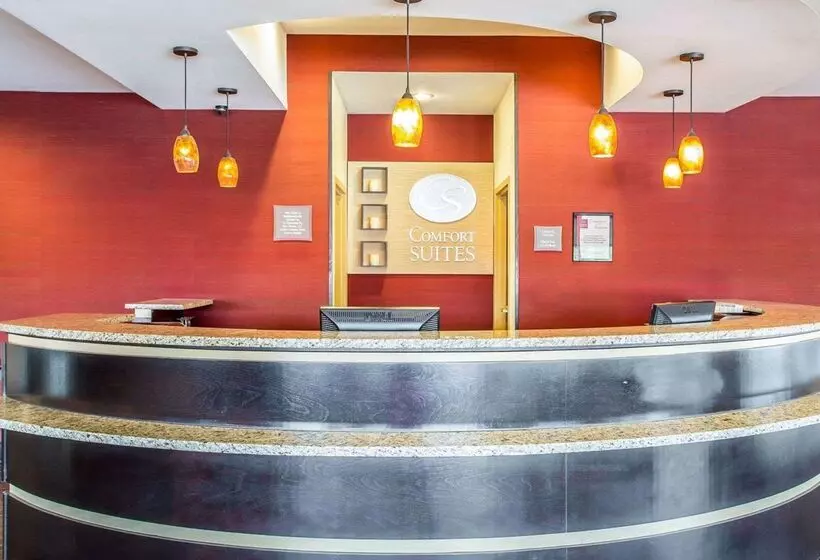 בית מלון כפרי Comfort Suites Rock Hill Manchester Meadows Area