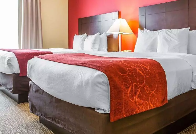 בית מלון כפרי Comfort Suites Rock Hill Manchester Meadows Area