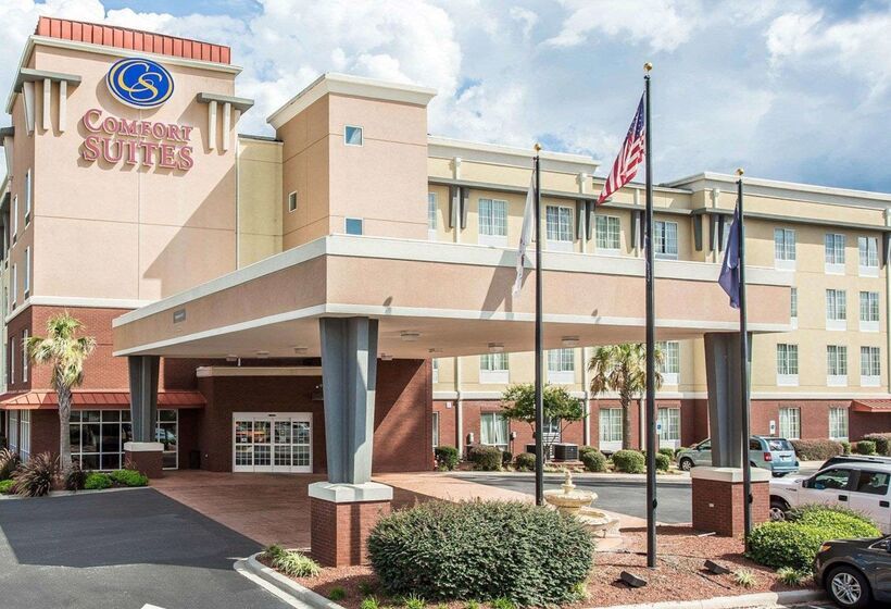 ホテル Comfort Suites Rock Hill Manchester Meadows Area